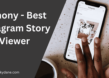 Iganony instagram story viewer