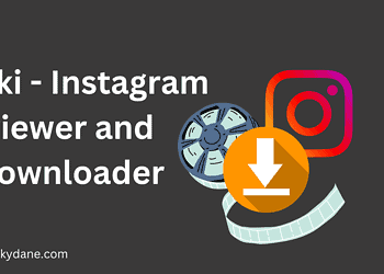 Picuki – Instagram viewer and Downloader