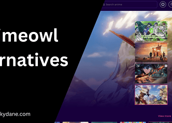Animeowl – Top Alternatives to Watch Anime online (Updated 2024)