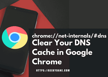 chrome://net-internals/#dns – How to Clear Your DNS Cache in Google Chrome