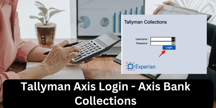 Tallyman axis login